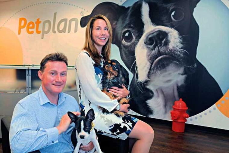 Chris Ashton (left), 41, holding Reggie, and his wife Natasha, 40, holding Montgomery, are co-founders and co-ceo's of their company Petplan, which sells pet medical insurance. They were photographed at the company's Newtown Square office July 2, 2014. ( CLEM MURRAY / Staff Photographer )