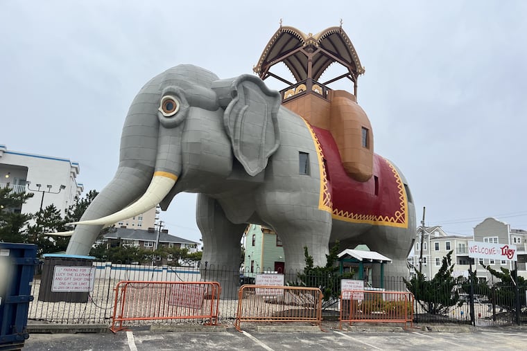 Lucy the Elephant has finally emerged from her scaffolding after a $2 million exterior renovation as seen in this Dec. 15 photo. An official unveiling will be held Dec. 28 at the Margate icon.
