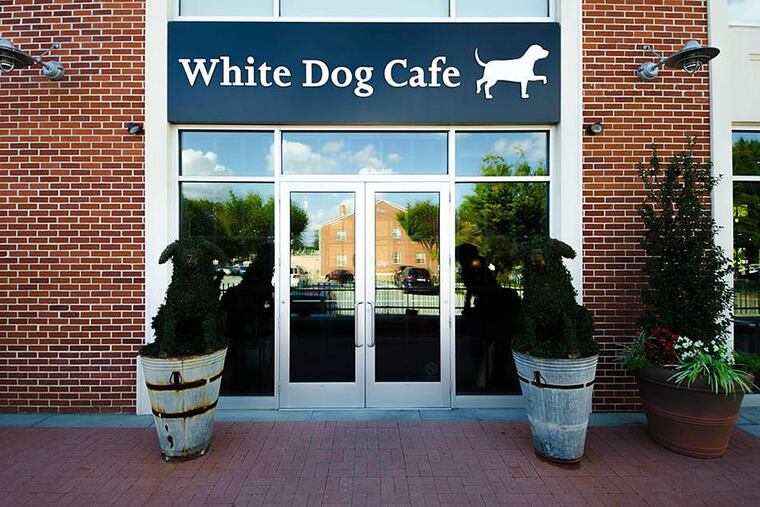 White Dog Cafe’s Wayne location was damaged by fire.