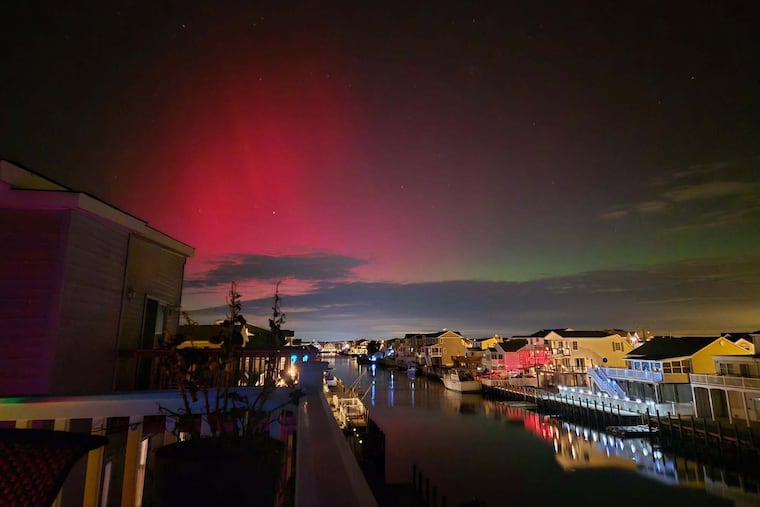 The northern lights over Beach Haven West on Tuesday night.