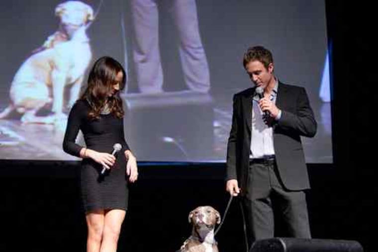 Jennifer and Chase Utley with Jack, their pit bull, during the Utleys' casino night at the Electric Factory, a Pennsylvania SPCA fund-raiser. The couple adopted Jack, a rescue dog, from the PSPCA. (See "Phillies notes.")