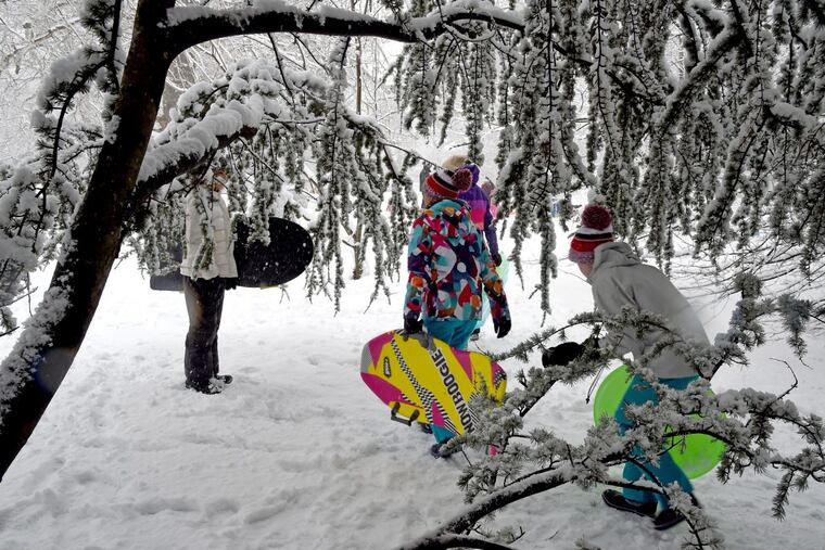 Children walk amid snow-laden trees to sled on a hill in Haddonfield on Wednesday.