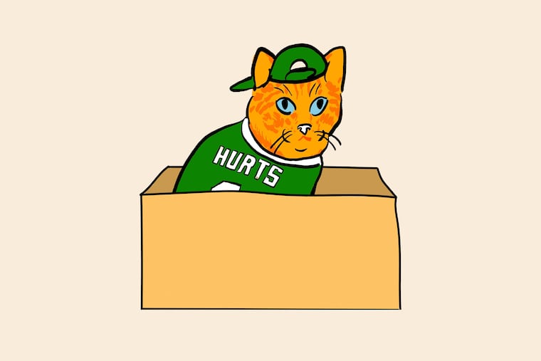 How popular is your cat’s name?