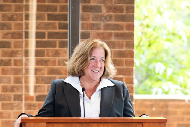Lisa Schmidt served as president of Richards Layton & Finger, the largest of the Delaware corporate-law firms, from 2022 to 2025, as the state's legal establishment successfully pushed for legislation designed to blunt attacks on the state's "corporation franchise" by Elon Musk and others.