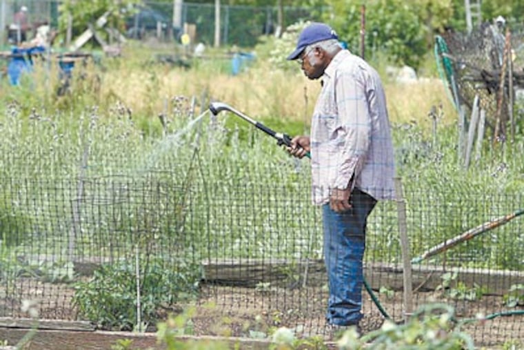 Eddie Corbitt, of Germantown, waters his plot at Glenwood Green Acres, the city’s largest community garden. Of more than 400 community gardens, nine are designated Keystone Gardens. (AKIRA SUWA / Staff Photographer)