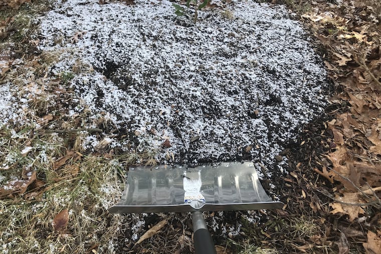 Is that all there is? Yes, but the snow from the Inauguration Day 2021 squall was the biggest snow in over a month.