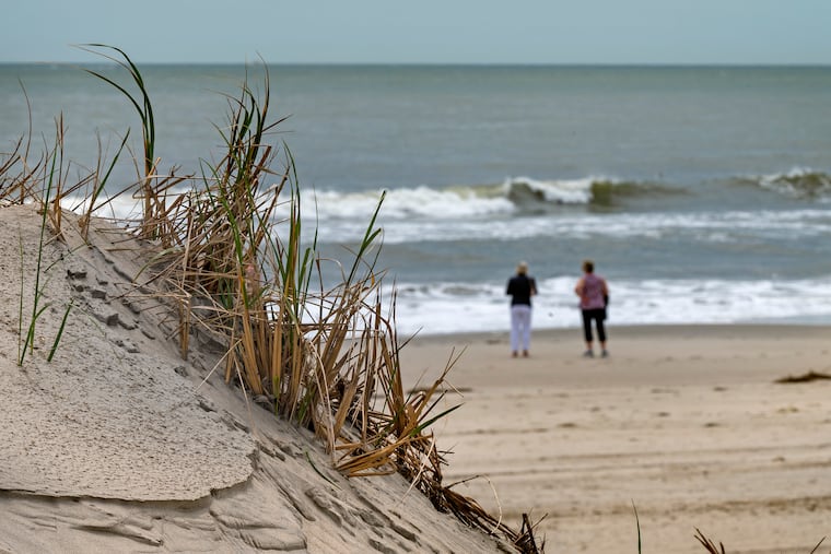Dune grass on the beach in Stone Harbor.