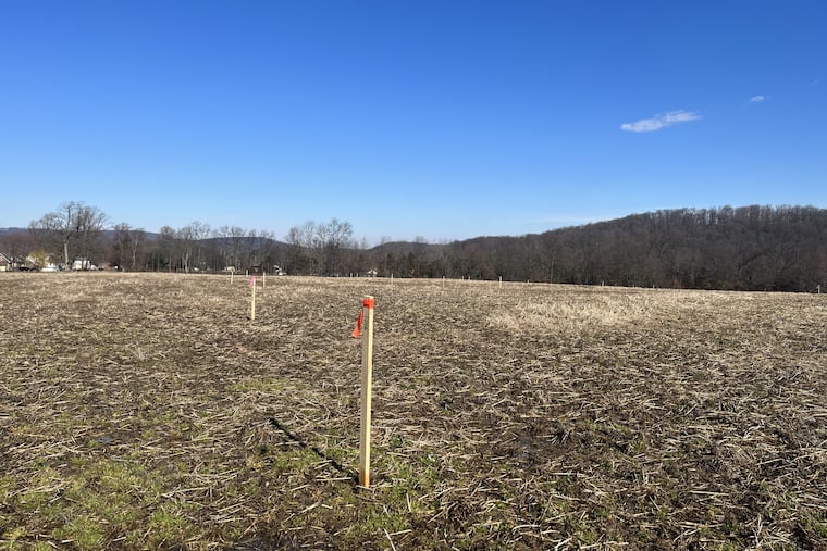 A plan by Upper Pottsgrove Township to build a new municipal complex on land purchased as open space has drawn the ire of many residents. Seen are surveying stakes on a farm once owned by the Smola family at Moyer and Evans Roads. The township broke ground on the site on Tuesday, Jan. 30.