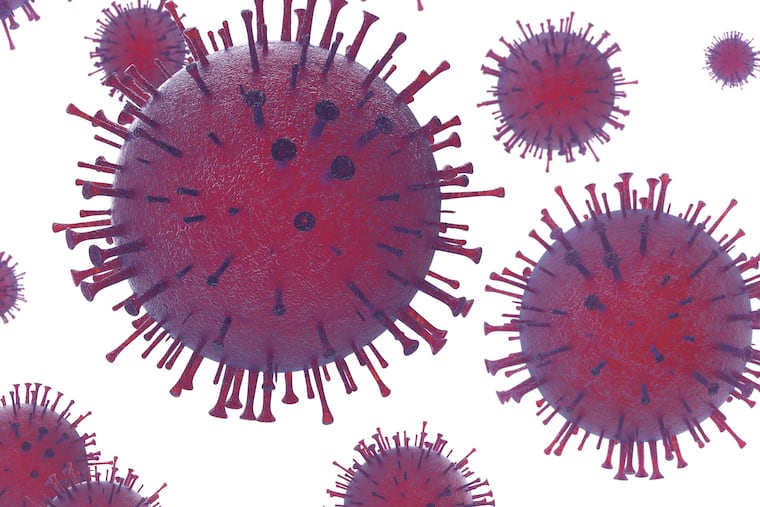 Herpes viruses