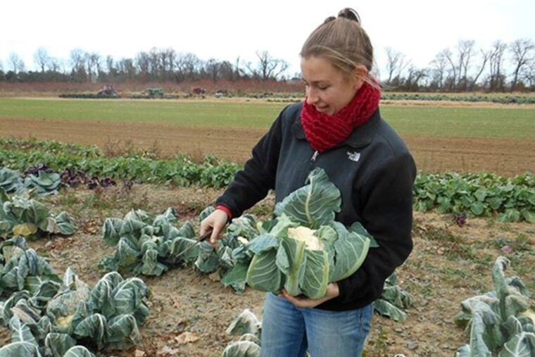 Farmer Rose Robson, a member of the Young Farmers and Ranchers program. (Credit: Jean Robson)