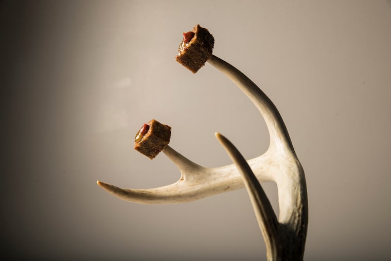 House-made venison scrapple dabbed with spruce jam, served on antlers passed down to chef Adam Diltz.