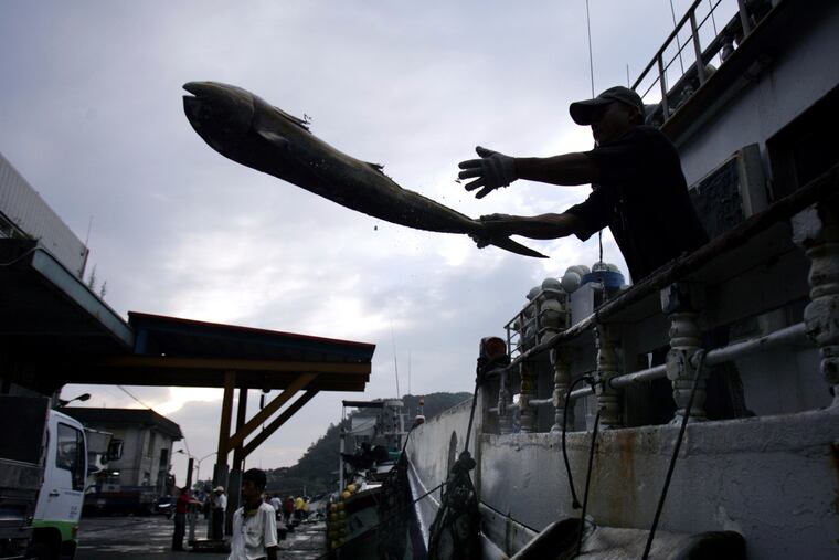 FILE - In this June 21, 2015, file photo, a fisherman unloads his catch in the port of Suao, north eastern Taiwan. Development that’s led to loss of habitat, climate change, overfishing, pollution and invasive species is causing a biodiversity crisis, scientists say in a new United Nations science report released Monday, May 6, 2019. (AP Photo/Wally Santana, File)