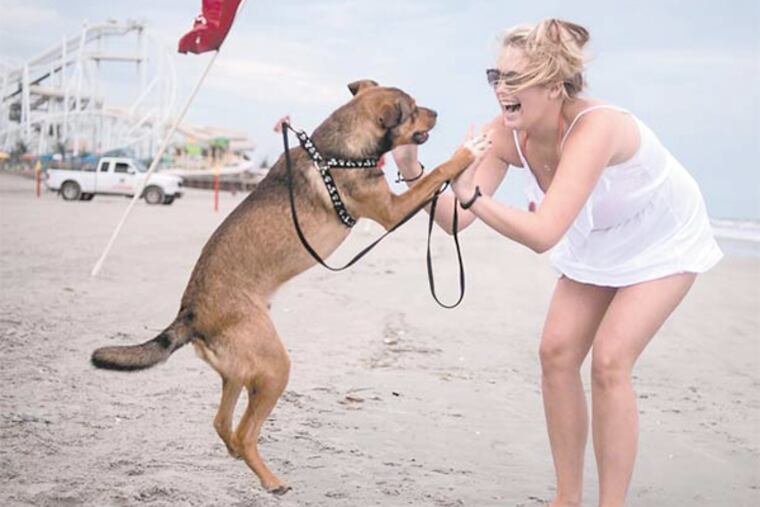 Amanda Morrell of Franklinville plays with her dog Lucky on a section of beach in Wildwood set aside for pet owners.