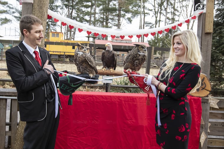 Elmwood Park Zoo educators Timothy Stephenson and Rebecca Oulton hold Sherlock, left, and Stella, right, as they tie the knot.