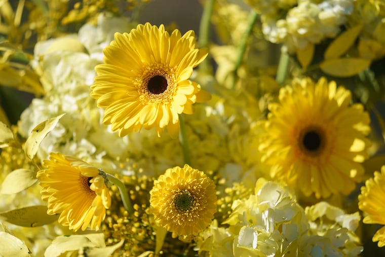Flowers at a a press conference and event to announce the Philadelphia Flower Show at FDR Park, in Philadelphia, Monday, March 21, 2022. During and after the press conference there was a booth with free bouquets of flowers, and a table where people could made free flower wreaths.