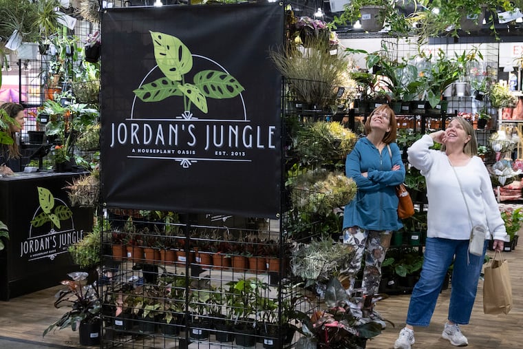 Jordan's Jungle specializes in tropical plants with popular varieties like Thai Monstera Constellations. Photograph courtesy of the Philadelphia Flower Show.