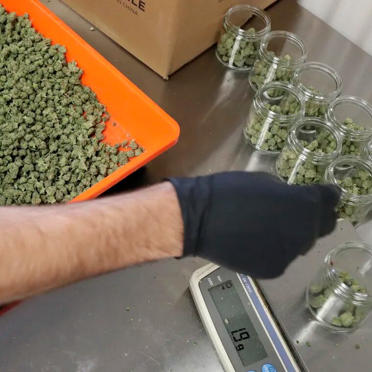 An employee at a medical marijuana dispensary in Egg Harbor Township, N.J., sorts buds into prescription bottles in 2019.