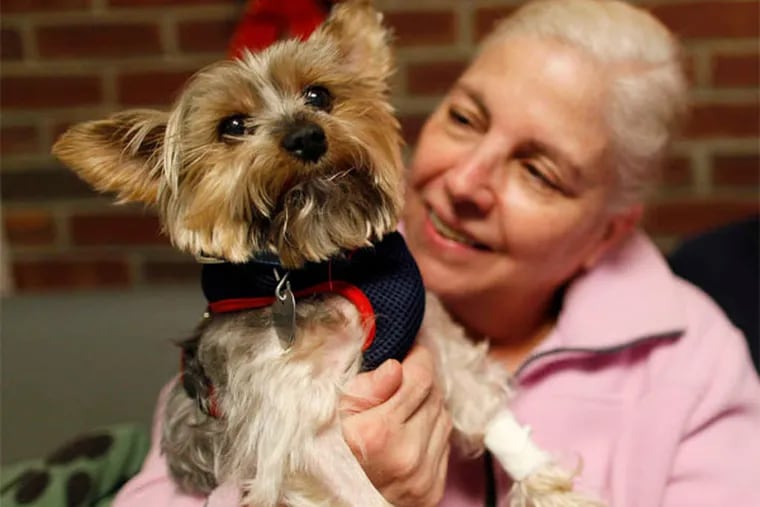 Scrappy gets ready to return home with owner Cynthia Gamba after an overnight hospital stay. The Yorkshire terrier had had a bad drug reaction.