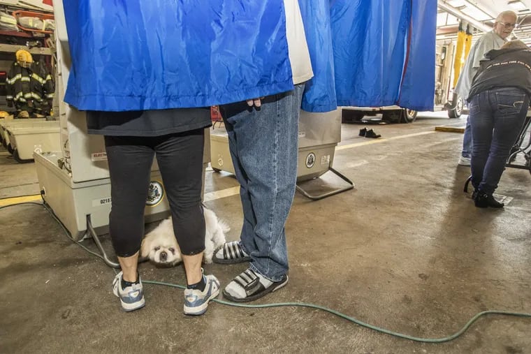 Tio, the Pekingese puppy, situates himself between Elivira Pruiti, left and John Pruiti, as his masters vote at Engine 49 at 13th and Shunk in South Philadelphia on May 15, 2018.