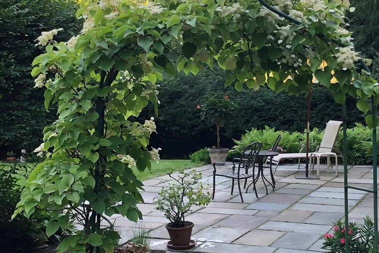 "You can sit on the patio and see the deer and the foxes,” says the owner of the Radnor house.