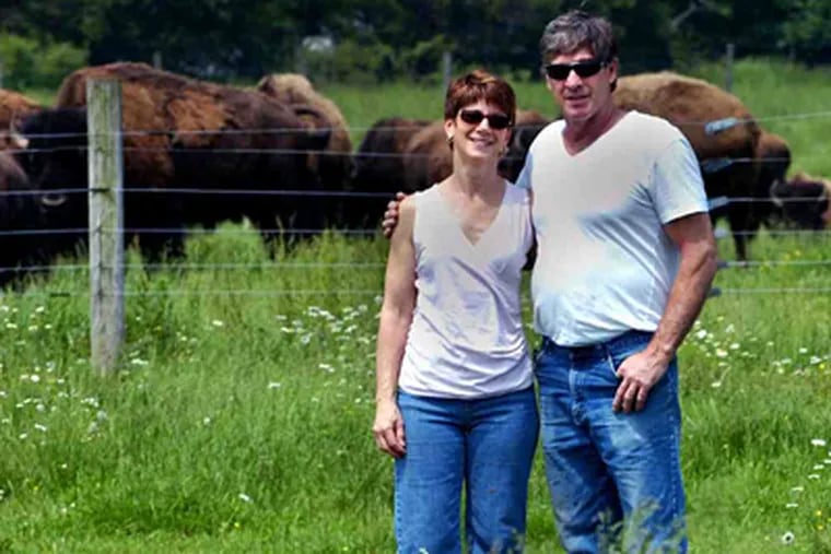 Gary and B.J. Schuler pause near their bison herd at Hillside Farms in Telford. (Mark C Psoras / For the Daily News)