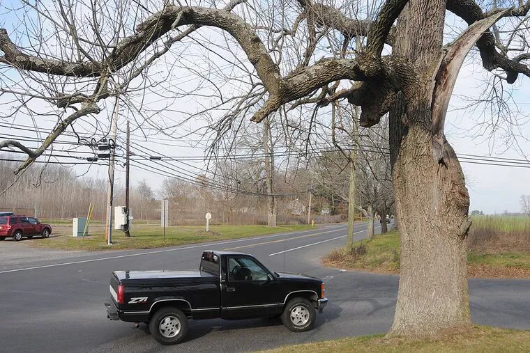 A truck makes a turn from Main Street onto Pemberton Road in Vincentown, Southampton Township, N.J., passing an ash tree on the corner.