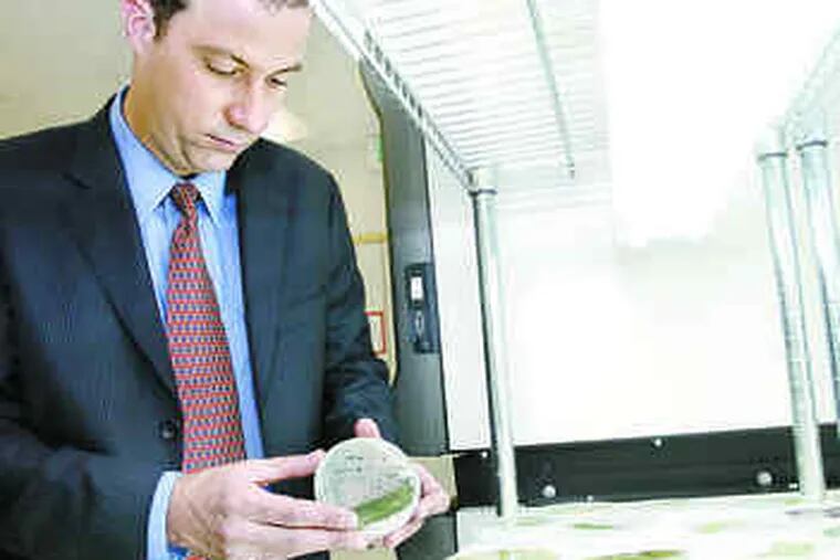Green slime dreams: Solazyme president Harrison Dillon checks an algal sample used in the production of renewable diesel. Solazyme is coming to Pa. hoping to prove this can be an industry, not just an experiment.