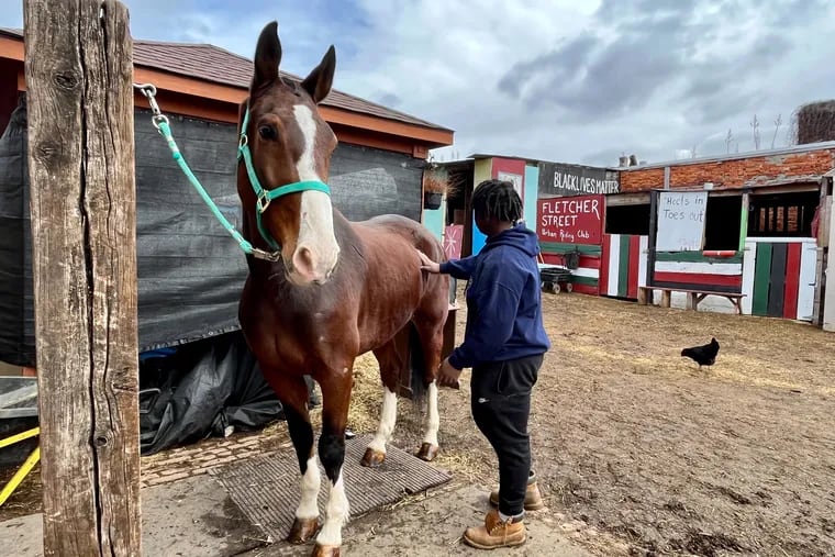“Freeway, he is not a bad horse; he is very sweet,” said 16-year-old Fletcher Street Urban Riding Club member Tramain Garvin.
