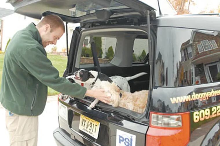 Rogerino loads up clients&#0039; dogs on their way to their adventure. Owners say their pups go into a tizzy when their ride pulls up. (Ron Tarver / Staff Photographer)