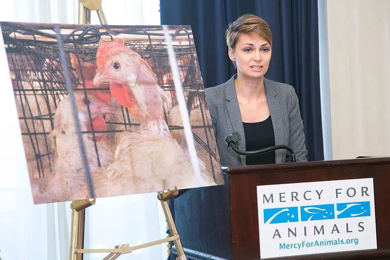 Jaime Berger, of Mercy for Animals, which released photos and videos from Briarwood Farms in Washington State.