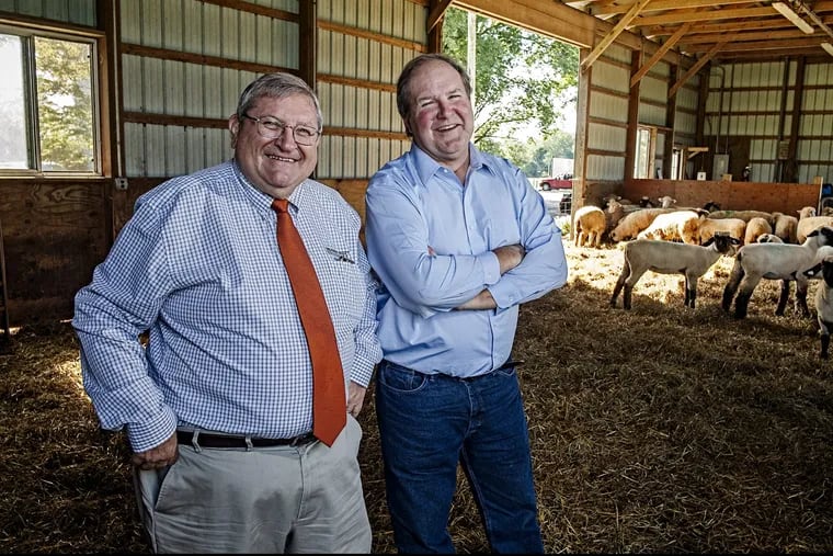 John Urbanchuk and Bob Brown are seen here sharing a laugh in the ewe barn at Delaware Valley University in Doylestown, Pa.