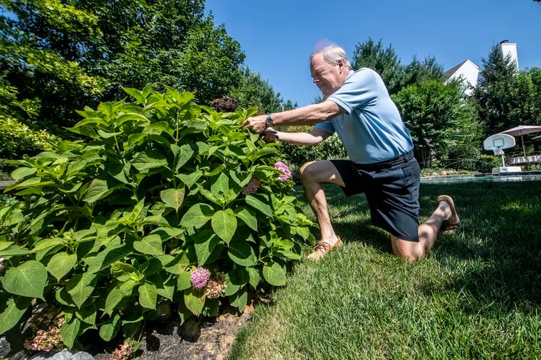 Fritz Ruccius has become an avid garden and landscaper during the coronavirus outbreak — a job he didn't have time for when he was working. He and his wife, Pearl, also have modified their house to provide recreation and space for their grandchildren.
