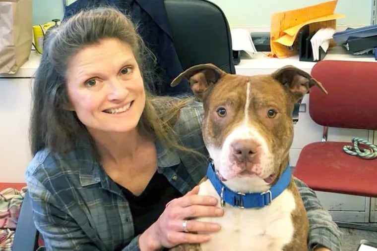 Former Chicago Animal Care and Control Executive Director Susan Russell with a shelter dog