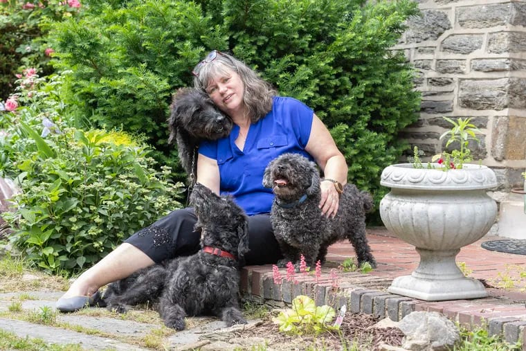 Mount Airy resident Susan Gobreski and her three dogs: Penny, Franklin and Max. On different occasions, Max and Franklin mistakenly ingested cannabis.