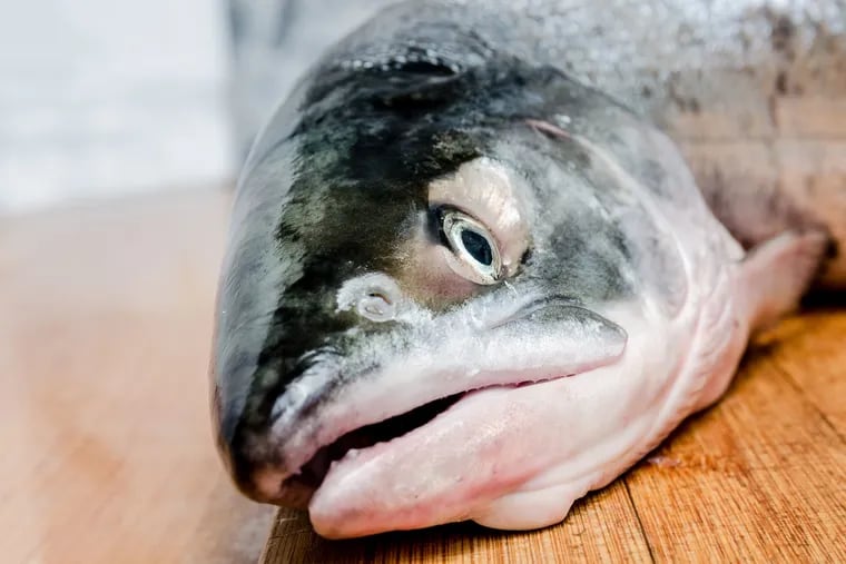 A Massachusetts-based company earlier this month cleared the last regulatory hurdle from the Food and Drug Administration to sell genetically engineered salmon in the United States.