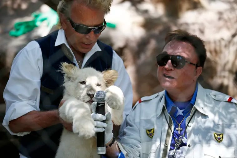 Siegfried Fischbacher (left) holds up a white lion cub as Roy Horn holds up a microphone during an event to welcome three white lion cubs to Siegfried & Roy's Secret Garden and Dolphin Habitat in Las Vegas in July 2014.