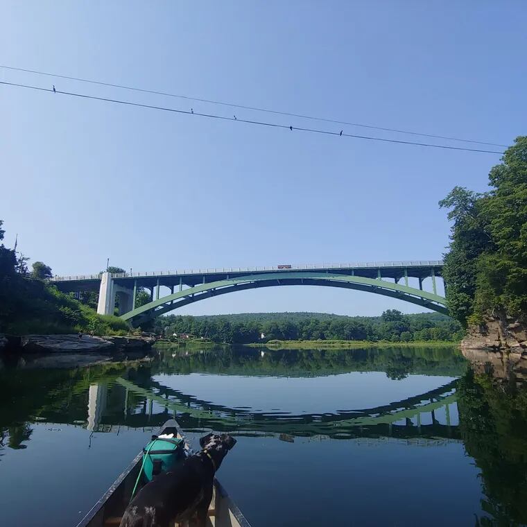 Rick Van Noy canoed from Hancock, N.Y., to Trenton in 2021 and turned his journey into a book, "Borne by the River." His dog, Sully, came along.