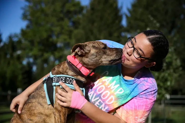 Summer Laurin, 15, and her service dog, Echo, which she is training herself, were the first girl and service dog to be allowed by the Girl Scouts of Eastern Pennsylvania to attend summer camp together.