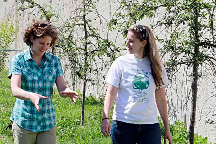 JRIORDAN06 --The NJ Tree Foundation and its decade-long effort to restore the "Camden Canopy" -- the city's tree cover. 

Beth McMillan (left) , Community Chef at the Neighborhood Center and Jessica Franzini 
, Program Dir. of NJ Tree Foundation are  chatting about projects along side of planted weeping Cherry Trees at the  Neighborhood Center.
June 4, 2013( AKIRA SUWA  /  Staff Photographer )