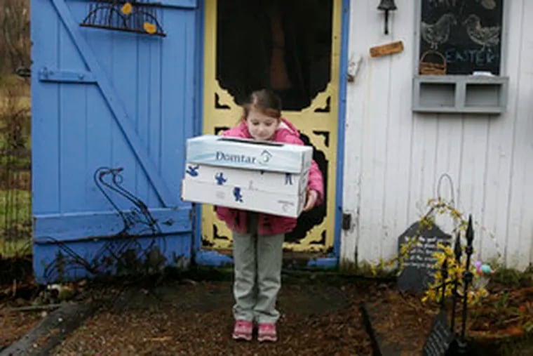 Ashley Fehl, 5, of Leesport, Berks County, carries her charges in the box that Fleur-de-Lys provided as their temporary home.