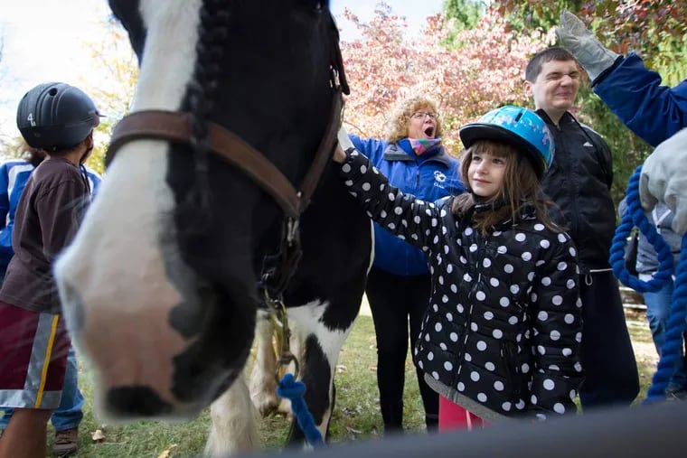 Tabitha Jackson, 8 (center), and her brother Kyle Jackson, 18, pet a pony with Chris Hanebury from Sebastion Riding Associates at the Autism Fall Fest in Pottstown.
