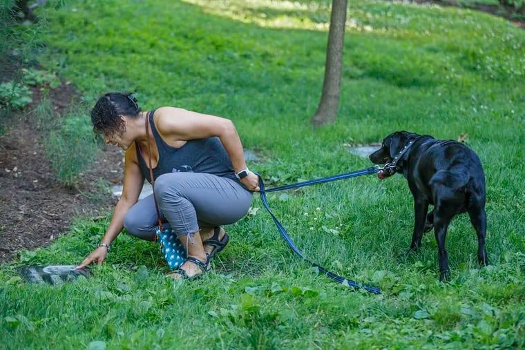 Jeanette Williams touches the grave marker of her departed chocolate labrador, Chiffon, in The Laurels pet cemetery in Bala Cynwd, as she holds onto the leash of her new lab, Champion.