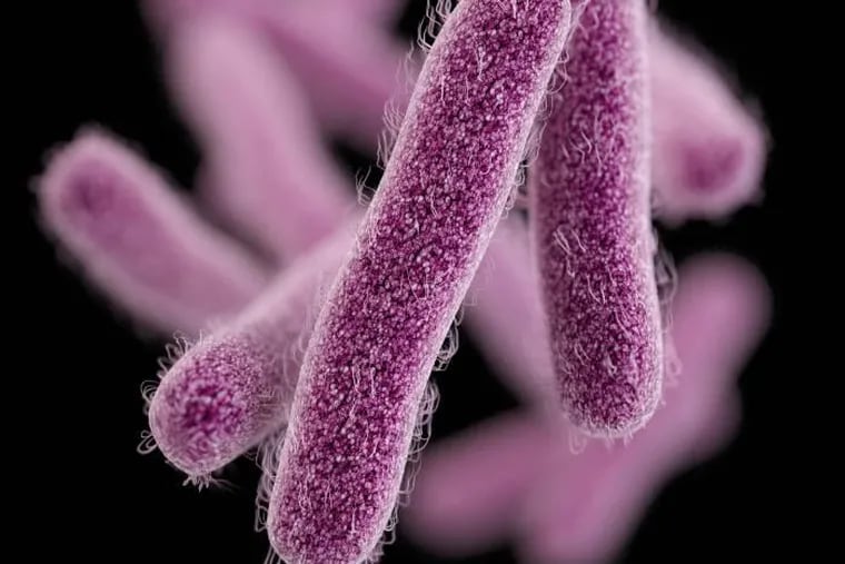 Shigella cases in Philadelphia increased in October and November, according to a health advisory issued last month by the Department of Public Health.