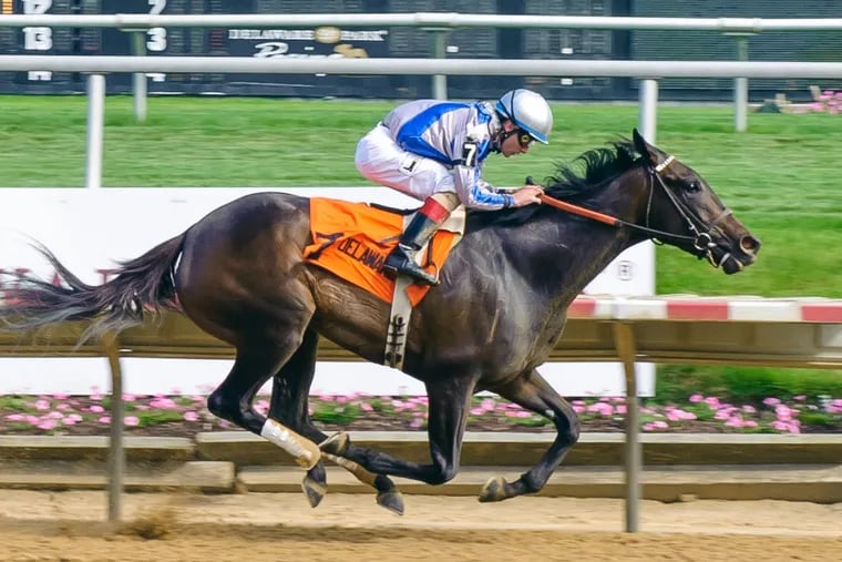 Elate winning The Light Hearted Stakes at Delaware Park in June 2017.