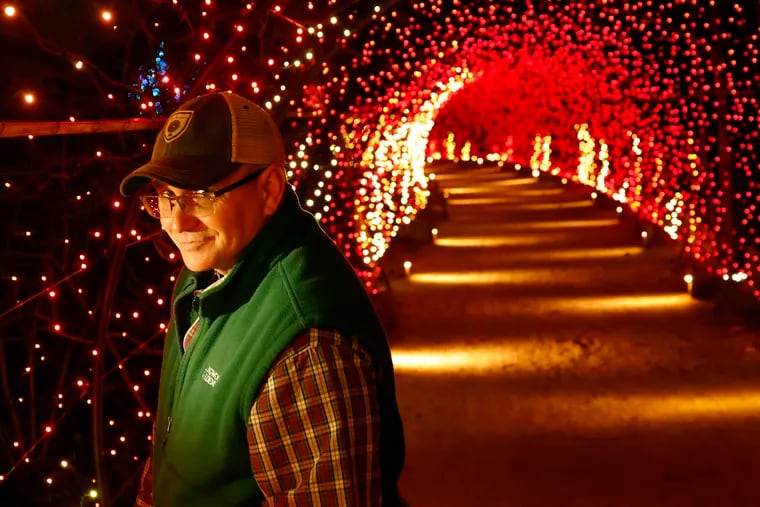 Longwood outdoor landscape manager Troy Sellers is responsible for the 200 foot tunnel of lights in the Meadow Garden at A Longwood Christmas at Longwood Gardens in Kennett Square, Pa. on Nov. 18, 2021. A Longwood Christmas is on view at Longwood Gardens November 19-January 9.