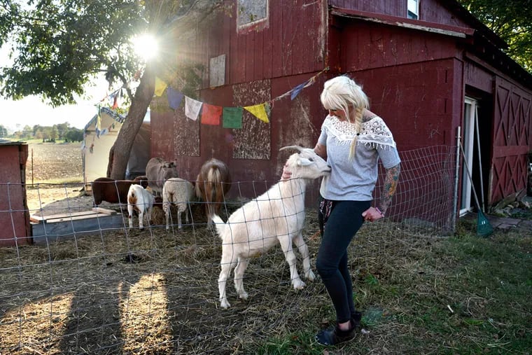 Caitlin Stewart pets Cale the goat on her farm Oct. 14, 2015. (TOM GRALISH/Staff Photographer)
