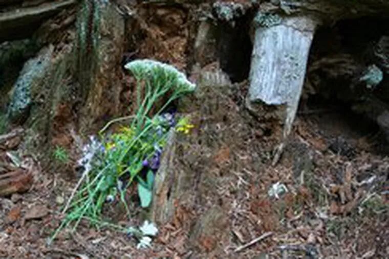 Floral tribute to Jon Rome. &quot;As we carefully walked along the narrow, slippery path . . . I flashed back to 13 years earlier. We turned our attention to finding the flat area that sheltered Jon&#0039;s tree.&quot;