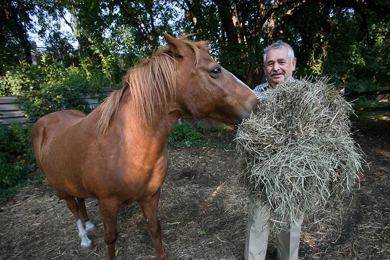 Kazem Nabavi found a stable when he bought his tire shop and has kept ponies and birds there since. A native of Iran, he fled the Shah and made his way to Phila. He tends to Coco.