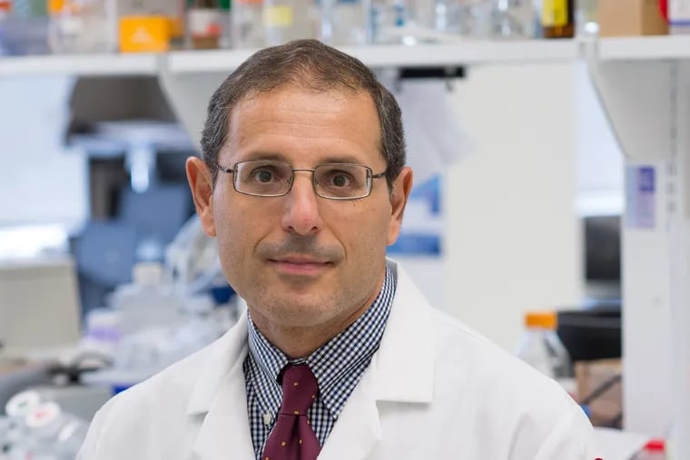 Domenico Pratico is a professor in the departments of pharmacology and microbiology and the Center for Translational Medicine at Lewis Katz School of Medicine at Temple University. 
