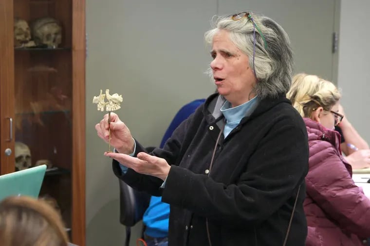 Janet Monge in 2018 at the Penn Museum, showing her class a set of upper teeth from a 5,300-year-old skeleton found resting in a crate in the museum's basement.